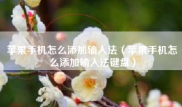 苹果手机怎么添加输入法（苹果手机怎么添加输入法键盘）