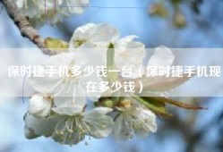 保时捷手机多少钱一台（保时捷手机现在多少钱）