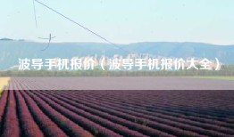 波导手机报价（波导手机报价大全）