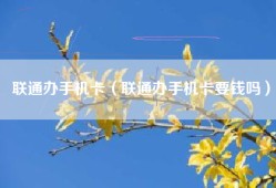 联通办手机卡（联通办手机卡要钱吗）