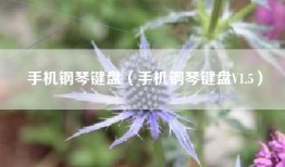 手机钢琴键盘（手机钢琴键盘V1.5）