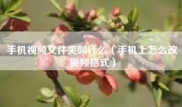 手机视频文件夹叫什么（手机上怎么改视频格式）