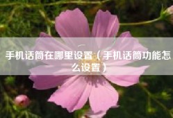 手机话筒在哪里设置（手机话筒功能怎么设置）
