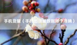 手机货量（手机出货量数据哪个准确）