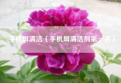手机屏清洁（手机屏清洁剂第一名）