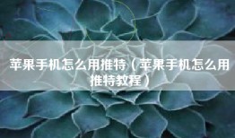 苹果手机怎么用推特（苹果手机怎么用推特教程）