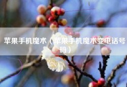 苹果手机魔术（苹果手机魔术变电话号码）