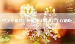 中英文建站 - 外贸独立站设计（双语版）
