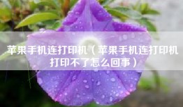 苹果手机连打印机（苹果手机连打印机打印不了怎么回事）