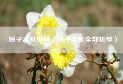 锤子手机型号（锤子手机全部机型）