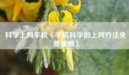 科学上网手机（手机科学的上网方法免费视频）