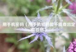 用手机密码（用手机密码能不能查出定位信息）