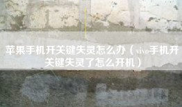 苹果手机开关键失灵怎么办（vivo手机开关键失灵了怎么开机）