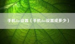 手机dns设置（手机dns设置成多少）