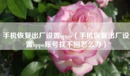 手机恢复出厂设置oppo（手机恢复出厂设置oppo账号找不回怎么办）
