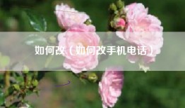 如何改（如何改手机电话）