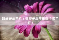 智能老年手机（智能老年手机哪个牌子好）