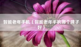 智能老年手机（智能老年手机哪个牌子好）
