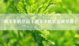 顺丰手机空运（顺丰手机空运被发现）