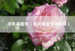 手机桌面宠（手机桌面宠物软件）