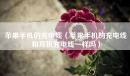 苹果手机的充电线（苹果手机的充电线和耳机充电线一样吗）