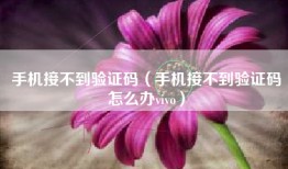 手机接不到验证码（手机接不到验证码怎么办vivo）