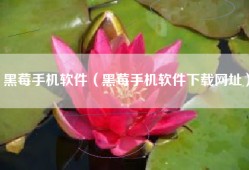 黑莓手机软件（黑莓手机软件下载网址）