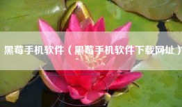 黑莓手机软件（黑莓手机软件下载网址）