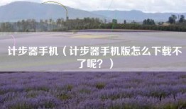 计步器手机（计步器手机版怎么下载不了呢？）