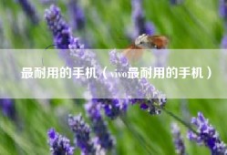 最耐用的手机（vivo最耐用的手机）