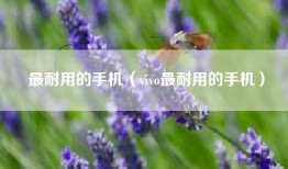 最耐用的手机（vivo最耐用的手机）