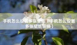 手机怎么设置多张壁纸（手机怎么设置多张壁纸轮换）