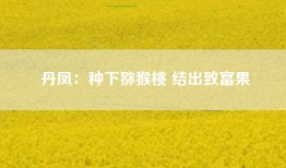 丹凤：种下猕猴桃 结出致富果