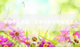 苹果手机老板（苹果手机老板是犹太人吗）