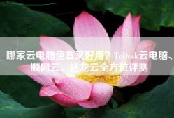 哪家云电脑便宜又好用？ToDesk云电脑、顺网云、达龙云全方位评测
