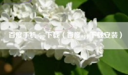 百度手机app下载（百度app下载安装）