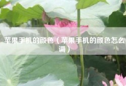 苹果手机的颜色（苹果手机的颜色怎么调）