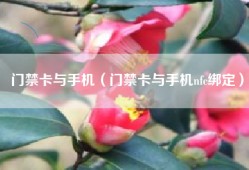门禁卡与手机（门禁卡与手机nfc绑定）