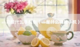 nfc功能什么手机有（nfc是什么功能手机）