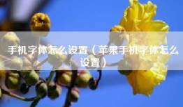 手机字体怎么设置（苹果手机字体怎么设置）