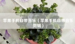 苹果手机自带音乐（苹果手机自带音乐剪辑）