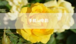 手机3d电影