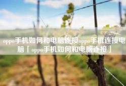 oppo手机如何和电脑连接oppo手机连接电脑「oppo手机如何和电脑连接」