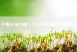 手机常见问题（手机常见问题在哪里找）