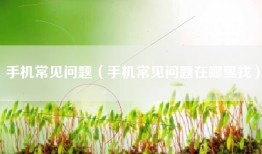 手机常见问题（手机常见问题在哪里找）