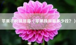 苹果手机换屏幕（苹果换屏幕多少钱？）