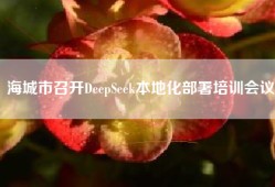 海城市召开DeepSeek本地化部署培训会议
