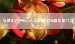海城市召开DeepSeek本地化部署培训会议