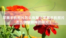苹果手机照片怎么恢复（苹果手机照片怎么恢复删除的照片）