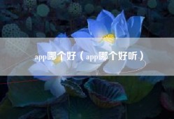 app哪个好（app哪个好听）
